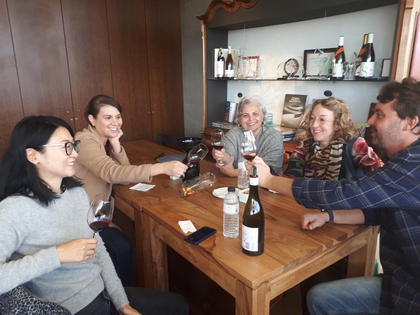 Day trip Lisbon Wine Tasting - Private tour - Should you book this private Lisbon wine tasting tour?