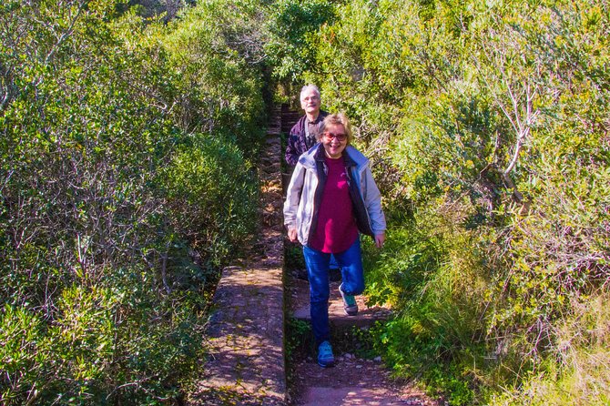 Discover Arrábida: The Secret Paradise - Mercado do Livramento: start like you mean it