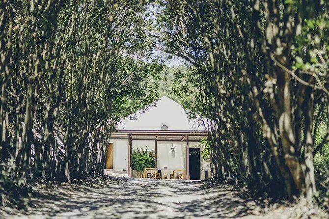 Discover Setúbal´s Secrets: Wine, Culture&Arrabida Magic| PRIVATE - Church of the Former Monastery of Jesus: Manueline Architecture With Meaning