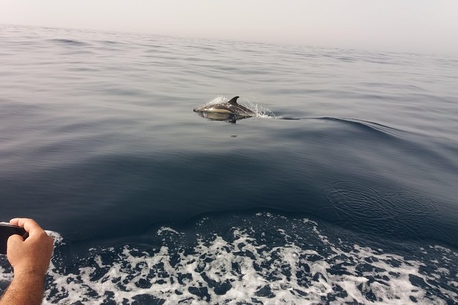 Dolphin Route - Key points I’d plan around