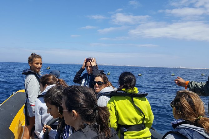 Dolphin Route - What you’re actually looking for out there