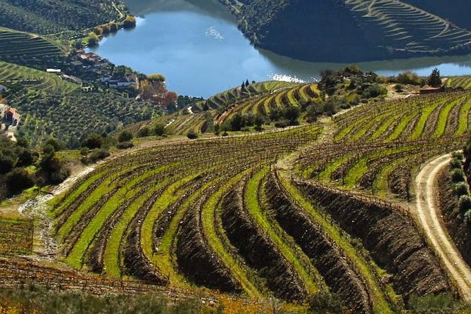Douro Valley Private Wine Tour From Lisbon - Key highlights that make this Douro day tour work