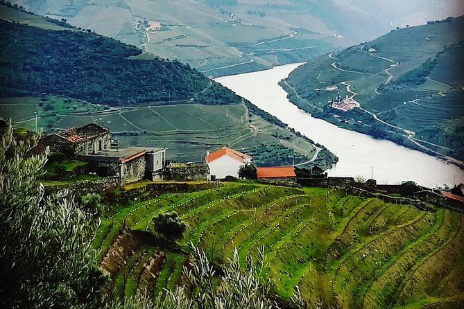 Douro Valley Private Wine Tour From Lisbon - Optional Douro River cruise: when it’s worth the extra cost