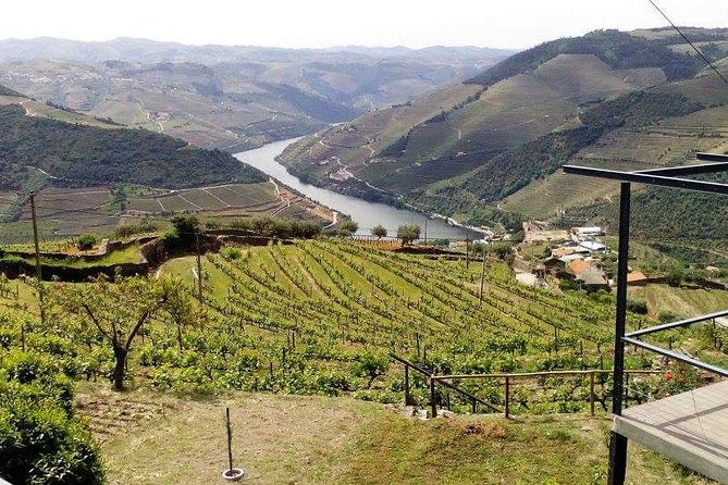 Douro Valley Private Wine Tour From Lisbon - Pinhão Railway Station visit: a quick cultural stop with good timing