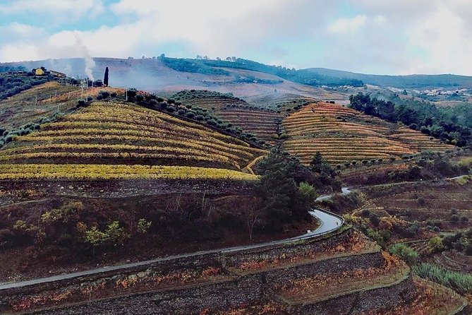 Douro Valley Private Wine Tour From Lisbon - Getting the most out of your guide (and why named guides show up often)