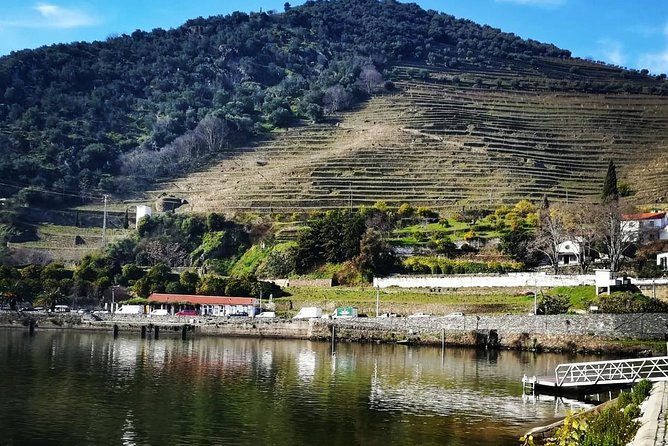 Douro Valley Private Wine Tour From Lisbon - What’s included vs. what you’ll pay for (so the final bill makes sense)