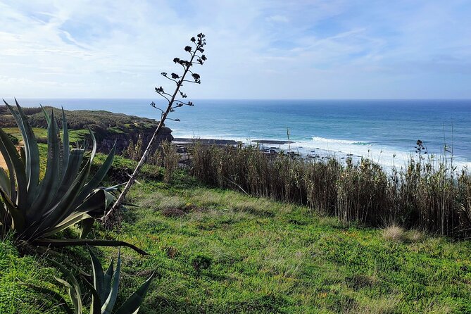 Ericeira Private Tour: 10 Tastings Food Tour - Praia dos Pescadores lunch, meet the fishermen and taste the daily catch