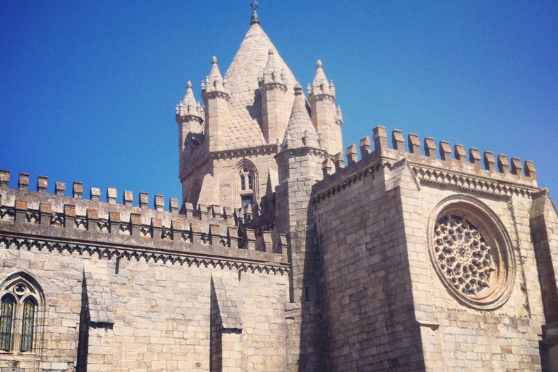 Évora and Megaliths Full-Day Tour from Lisbon - Cork oak country and the cork extraction lesson
