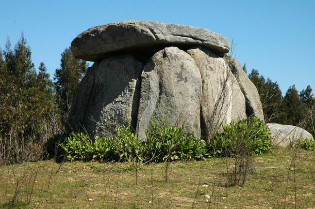 Évora and Megaliths Full-Day Tour from Lisbon - Cork, ruins, churches, repeat: why the day pace works