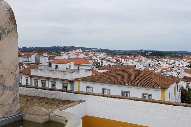Évora Private Tour - Cork Factory Visit & Wine Tasting Included - Chapel of Bones and Sé de Évora, in the same decision zone
