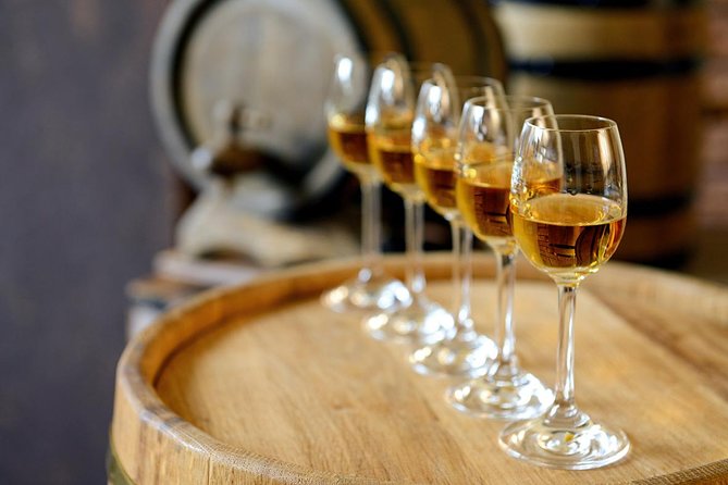 Évora Wine & Heritage Tour from Lisbon - Pace, coach comfort, and the language issue that affects everyone’s day