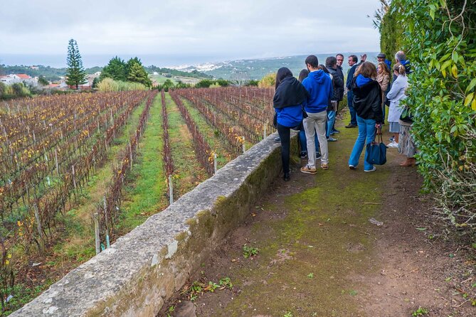 Explore Sintra with Luxury Transportation and Guiding - Cascais historic center, Cidadela fortress, and Boca do Inferno