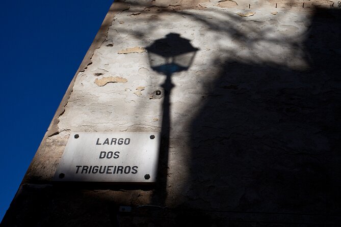 Fado: A Story of Thugs, Harlots and Poets - Private Walking Tour - Mouraria and fado: why these streets matter