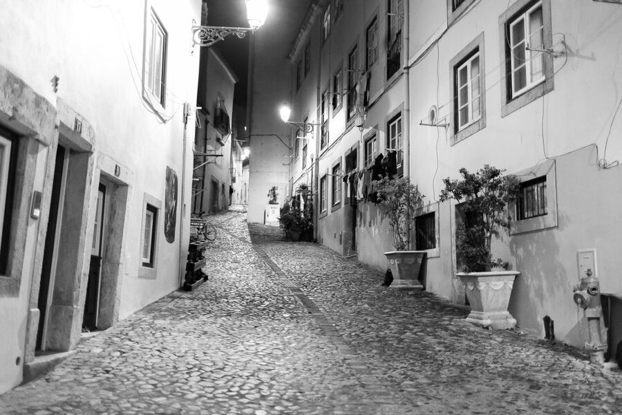 Fado: Musical Walking Tour with Food & Live Show - Inside Alfama Fado Houses, the Meal and the Real Mood