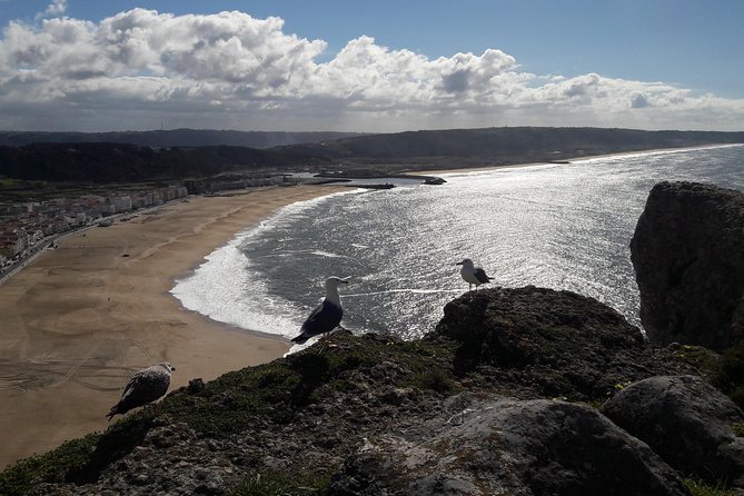 Fátima, Batalha, Nazaré and Óbidos day Tour - What I’d Do Differently Before You Go