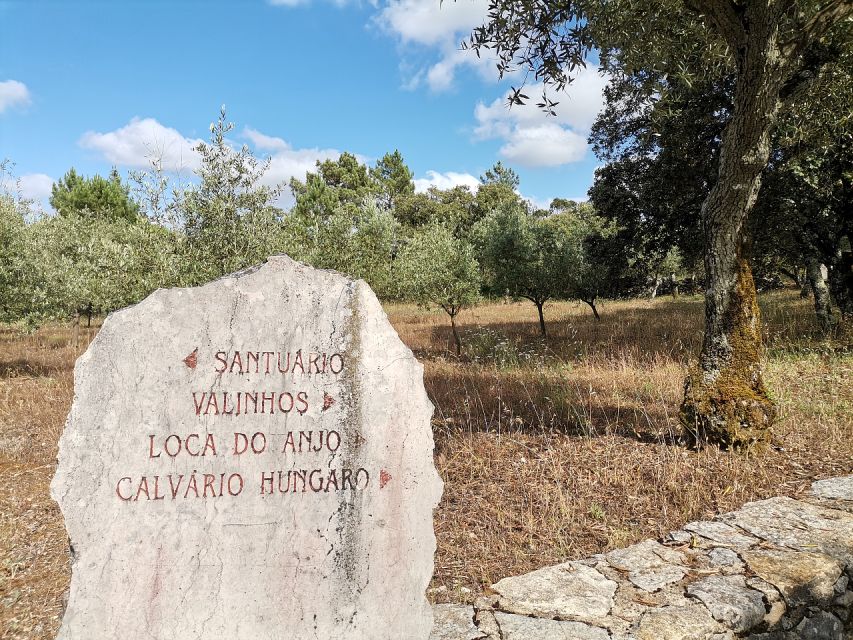 Fatima Full-Day Private Personalized Pilgrimage from Lisbon - Private pickup from Lisbon, then a calm ride to Fatima