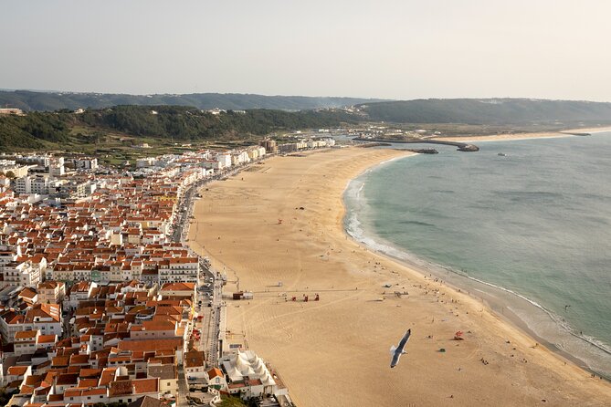 Fatima Sanctuary, Pena Palace & Nazare's Big Wave from Lisbon - Pena Palace and the King-Artist Theme (Exterior Ticket Reality)