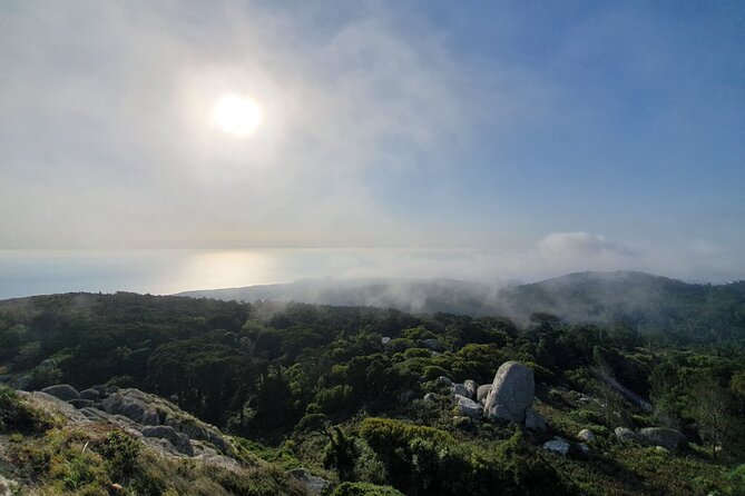 From Lisboa: Sintra, Cabo da Roca & Cascais Private Full Day Tour - Sintra National Palace and the reality of picking your battles