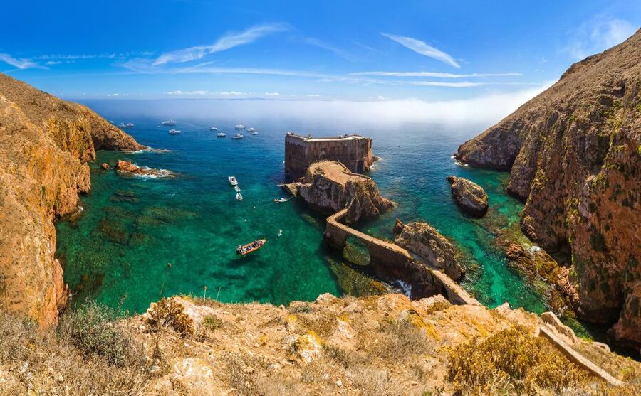From Lisbon: Berlenga Grande Island Private Tour - Why Berlenga Grande and Óbidos is a strong combo