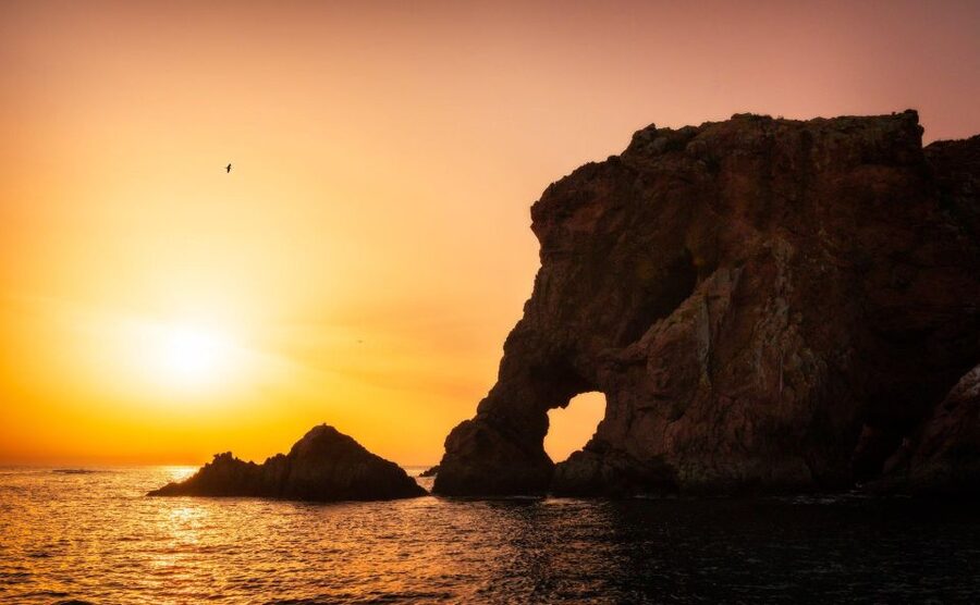 From Lisbon: Berlenga Grande Island Private Tour - The Peniche and West Coast stretch: what you should watch for