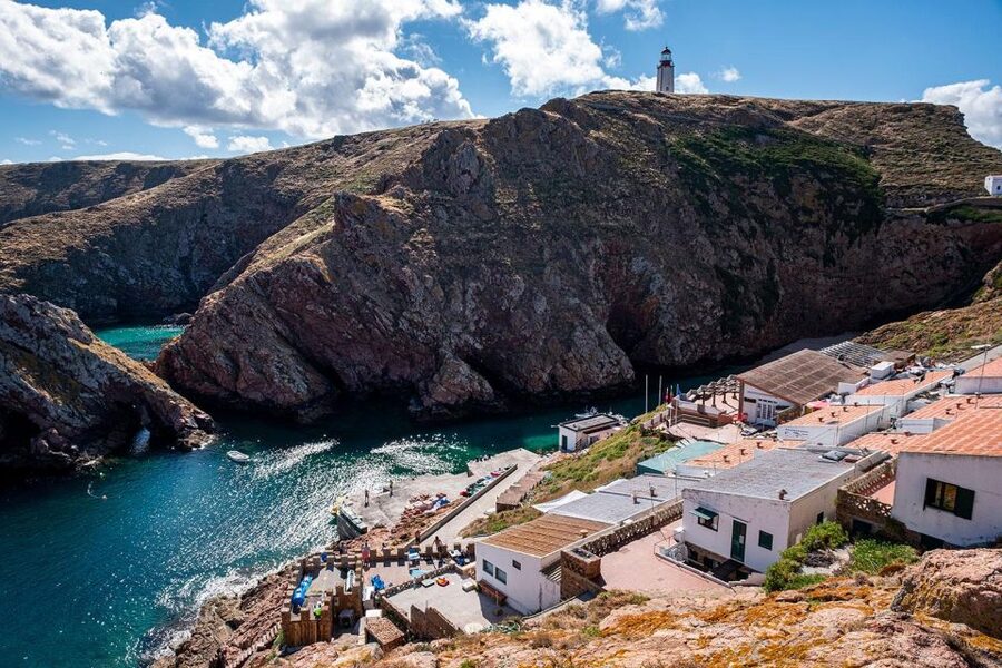 From Lisbon: Berlenga Grande Island Private Tour - UNESCO biosphere walk back to the port: the calm payoff