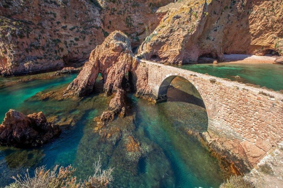 From Lisbon: Berlenga Grande Island Private Tour - Price and value: what you really get for about $222
