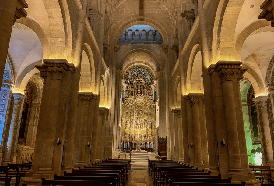 From Lisbon: COIMBRA and AVEIRO - Aveiro canals and moliceiro boats, the real reason this day works