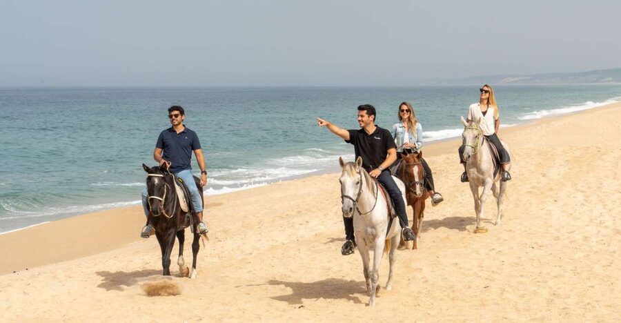 From Lisbon: Comporta and Setúbal Trip with Horseback Riding - Key highlights worth your attention