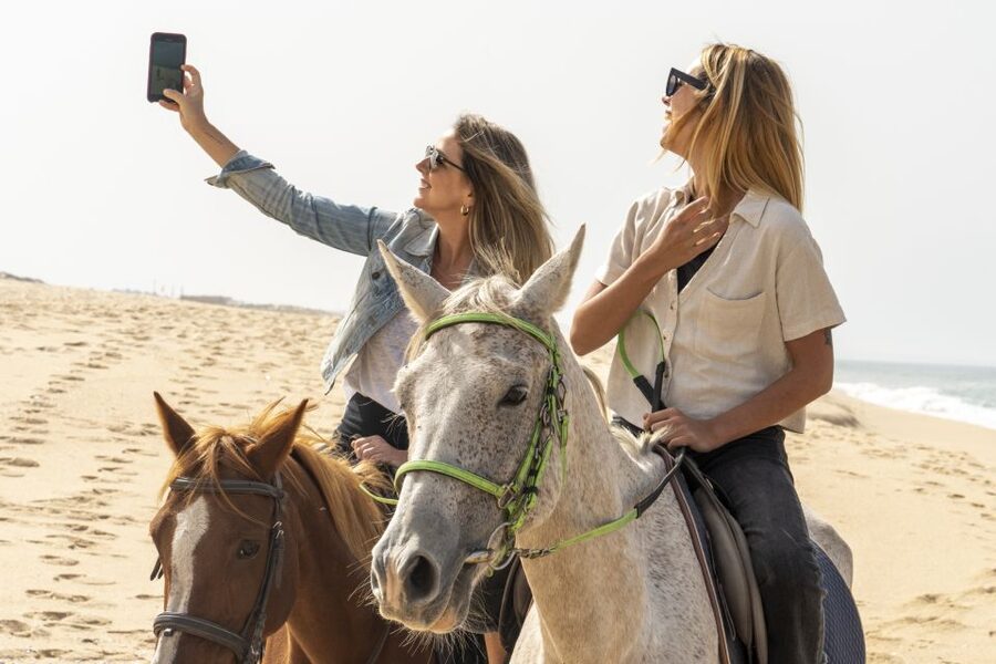 From Lisbon: Comporta and Setúbal Trip with Horseback Riding - Troia ferry time: pine dunes, long sand views, and dolphin spotting chances