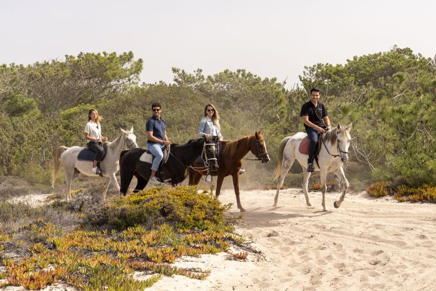 From Lisbon: Comporta and Setúbal Trip with Horseback Riding - Timing and logistics: how the 6-hour structure affects your day