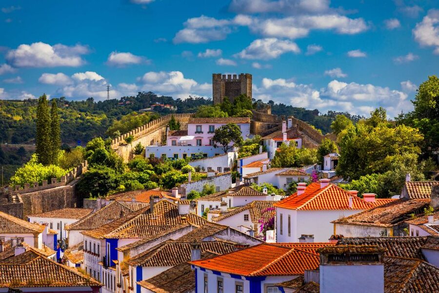 From Lisbon: Day Trip to Porto, Óbidos, and Nazaré - Porto at the End: UNESCO Old Town, Stations, Bridges, and Churches