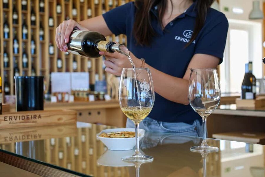 From Lisbon: Évora, Chapel of Bones & Alentejo Wine Tour - Key highlights to expect