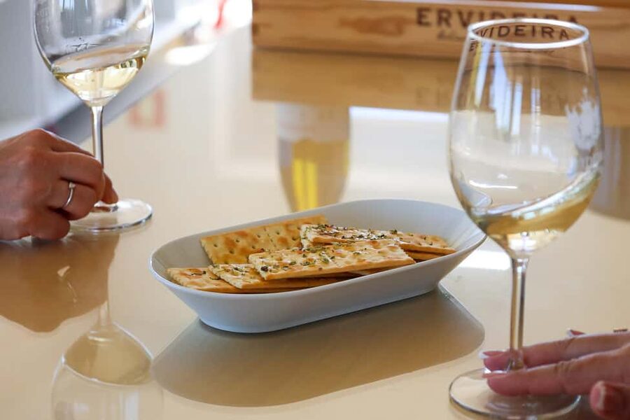 From Lisbon: Évora, Chapel of Bones & Alentejo Wine Tour - Alentejo winery visit: four wines, plus cheese and chorizos