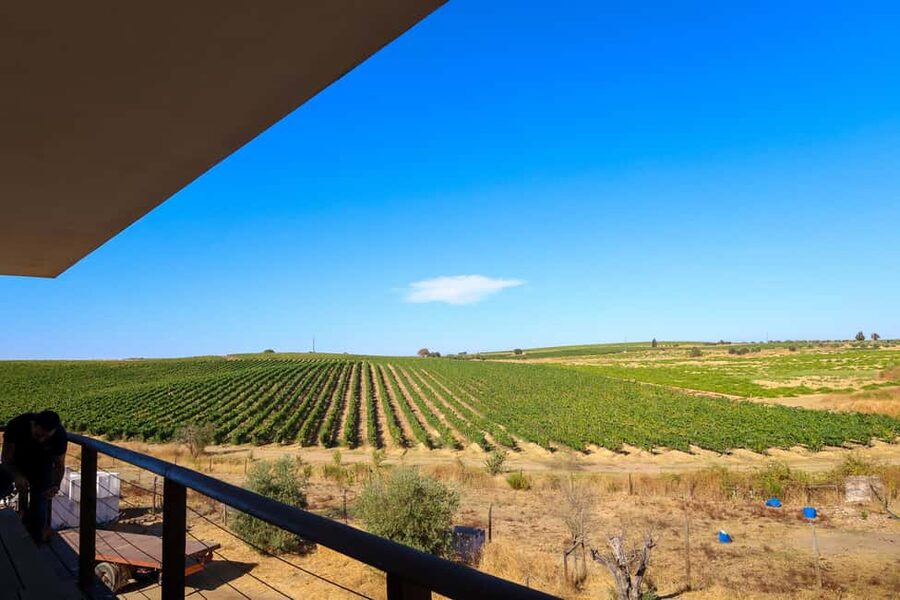 From Lisbon: Évora, Chapel of Bones & Alentejo Wine Tour - Who should book this Évora and Alentejo tour