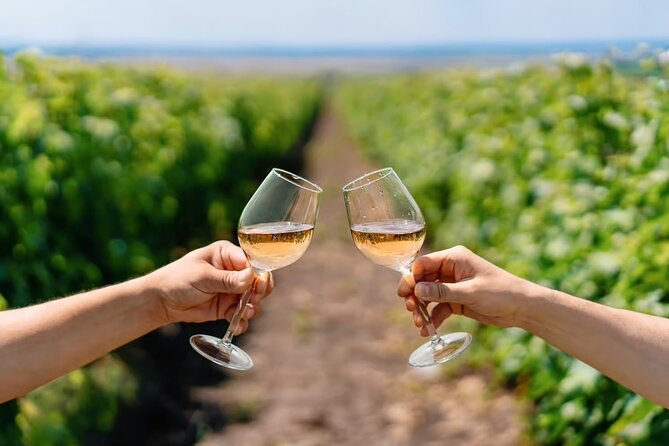 From Lisbon: Évora + Chapel of Bones + Monsaraz + Alentejo Wines - Free time in Évora: plan lunch without losing the day