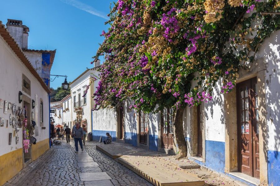From Lisbon: Fatima, Nazare, and Obidos 8-People Group Tour - Nazaré Views and the Surf Town Energy You Can Feel