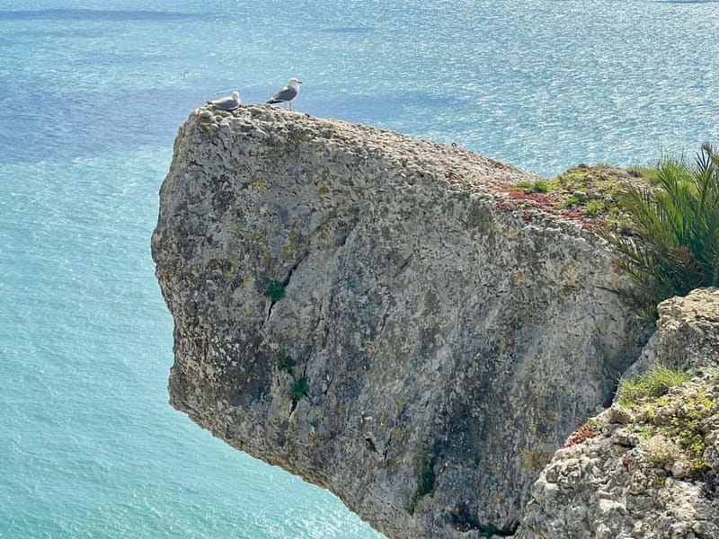 From Lisbon: Fátima, Nazaré & Óbidos Special Van Tour - How the 8-hour day really flows: pacing and where you can breathe