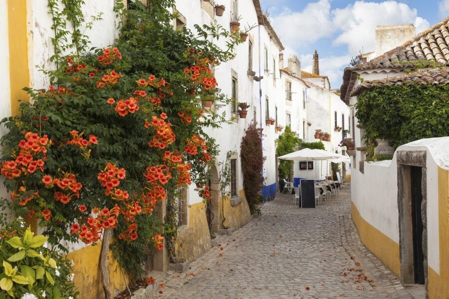 From Lisbon: Fátima Sanctuary, Nazaré & Óbidos - Óbidos: Medieval walls, whitewashed streets, and a castle vibe