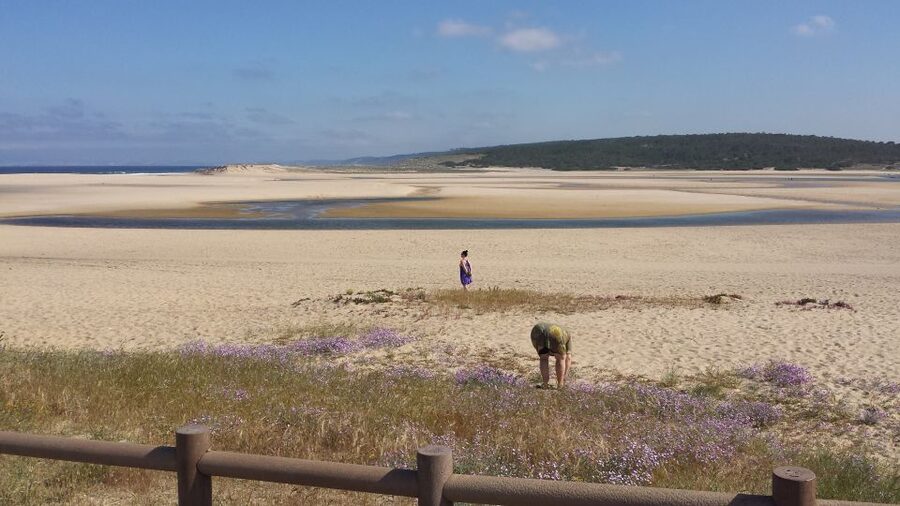 From Lisbon: Half-Day Arrábida Tour w/ Transfers - Getting There in Comfort: Private Van Transfers from Lisbon