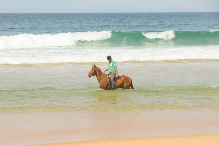 From Lisbon: Horseback Riding on Comporta Beach - Key things you’ll notice fast