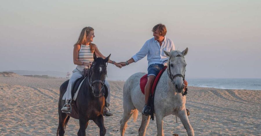 From Lisbon: Horseback Riding on Comporta Beach - Lisbon pickup and the long drive to Comporta Nature Reserve