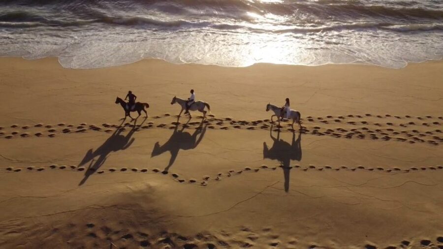From Lisbon: Horseback Riding on Comporta Beach - The Atlantic Forest start: where the ride begins to feel real