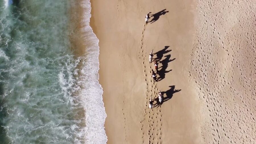 From Lisbon: Horseback Riding on Comporta Beach - Instructor support, multilingual clarity, and small-group control
