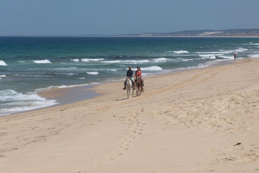 From Lisbon: Horseback Riding on Comporta Beach - Optional photographer and video add-ons