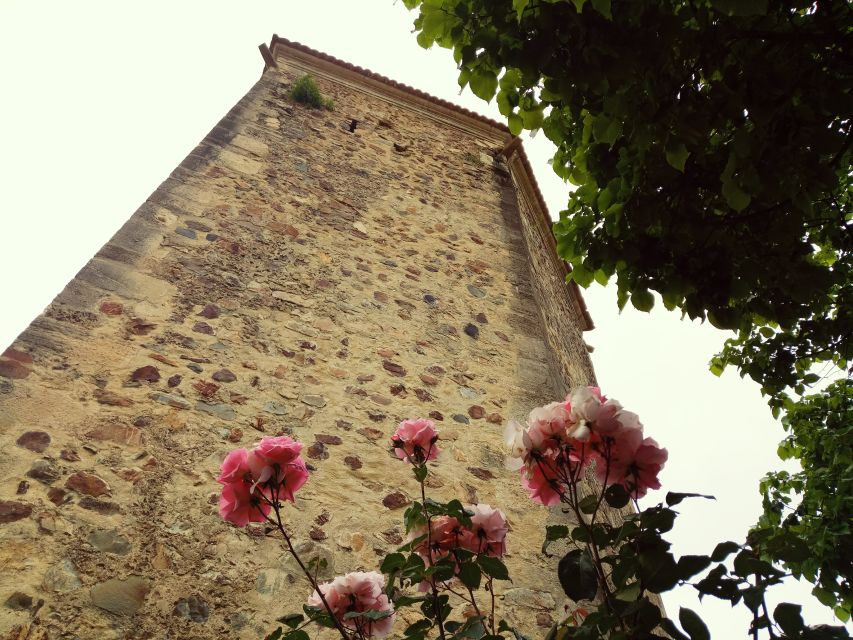 From Lisbon: Knights Templar - Tomar Private Tour - Lunch in Tomar, then a free hour to make it yours