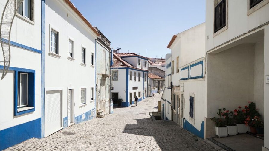 From Lisbon or Cascais: Mafra, Ericeira, and Queluz Day Tour - Queluz National Palace: the Portuguese Versailles vibe, minus the stress