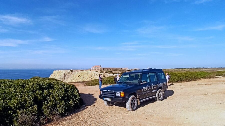 From Lisbon or Sesimbra: 4x4 Tour to Cape Espichel - Arrábida National Park Biodiversity, Wildlife Odds, and Quiet Roads