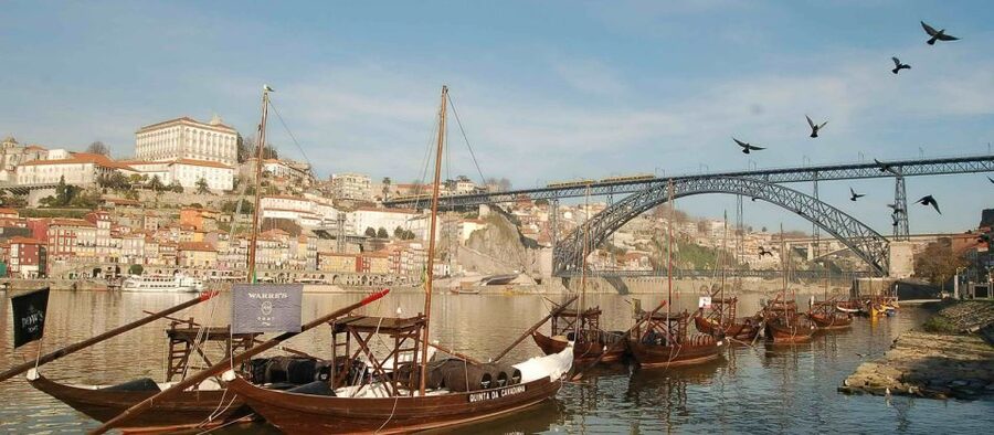 From Lisbon: Porto Private Full-Day Tour - Who this Porto private full-day tour is best for