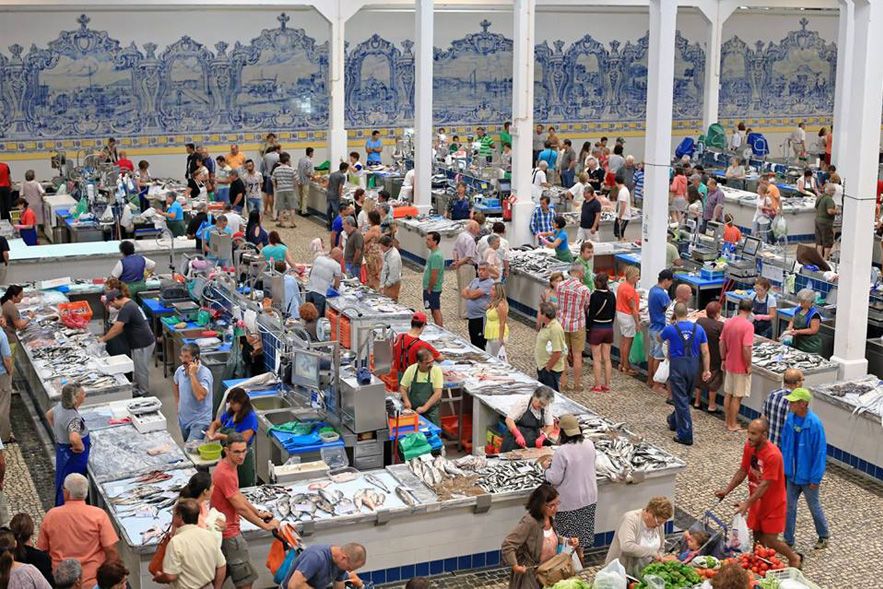 From Lisbon: Private Scenic Wine Tour in Arrabida - Setúbal and Livramento Market, where the food is the point