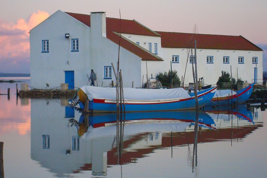 From Lisbon: Private Scenic Wine Tour in Arrabida - Guide style and group comfort, why private matters here
